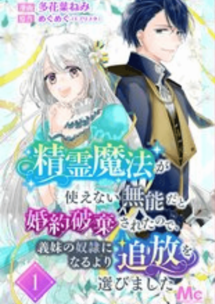 精霊魔法が使えない無能だと婚約破棄されたので、義妹の奴隷になるより追放を選びました無料漫画バンクraw/pdf/zip/rar