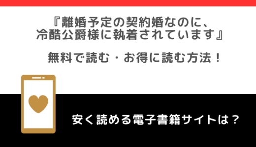 raw/zipで無料で離婚予定の契約婚なのに、冷酷公爵様に執着されていますを全巻読む危険性！お得な電子コミックサイトも紹介