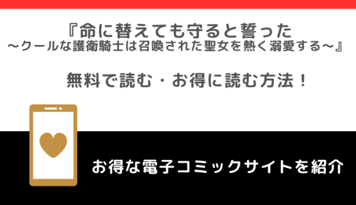 rawで命に替えても守ると誓った～クールな護衛騎士は召喚された聖女を熱く溺愛する～を全巻無料で読むリスク解説！小説はある？