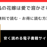 岩肌の花嫁は愛で溶かされるをrawで無料で漫画を読むリスク！コミックシーモアでも読める？